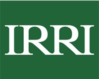 IRRI